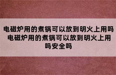 电磁炉用的煮锅可以放到明火上用吗 电磁炉用的煮锅可以放到明火上用吗安全吗